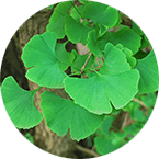 Otorfil від чого допомагає